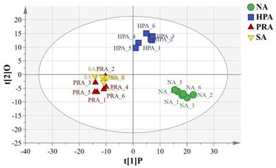 Comprehensive metabolomics and transcriptomics analyses investigating the regulatory effects of different sources of dietary astaxanthin on the antioxidant and immune functions of commercial-sized rainbow trout